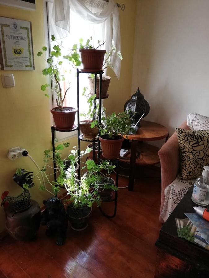 Guest House Vodolei Κότελ Εξωτερικό φωτογραφία