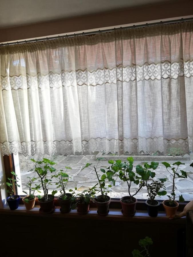 Guest House Vodolei Κότελ Εξωτερικό φωτογραφία
