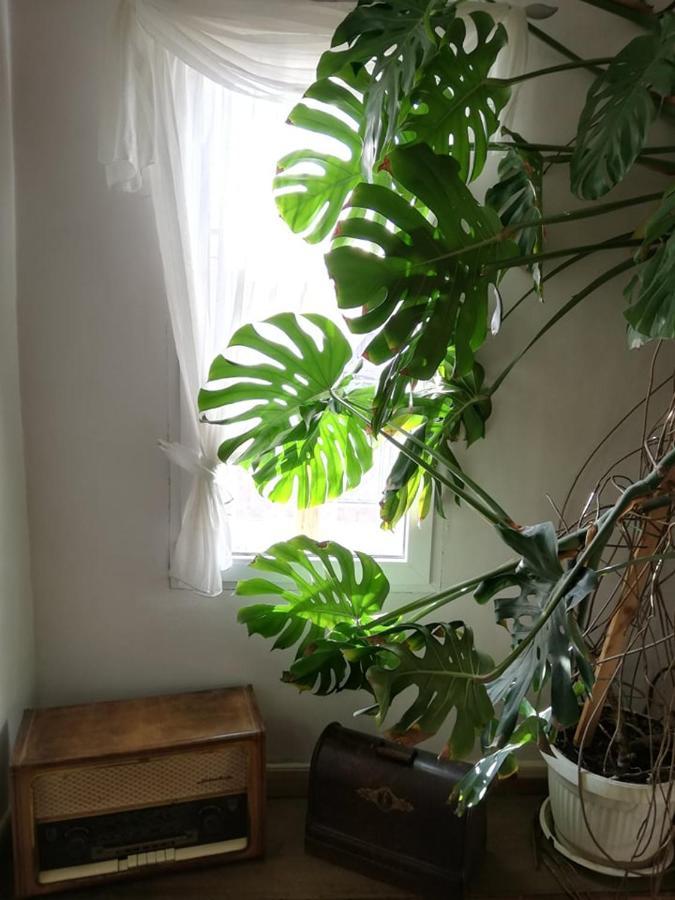 Guest House Vodolei Κότελ Εξωτερικό φωτογραφία