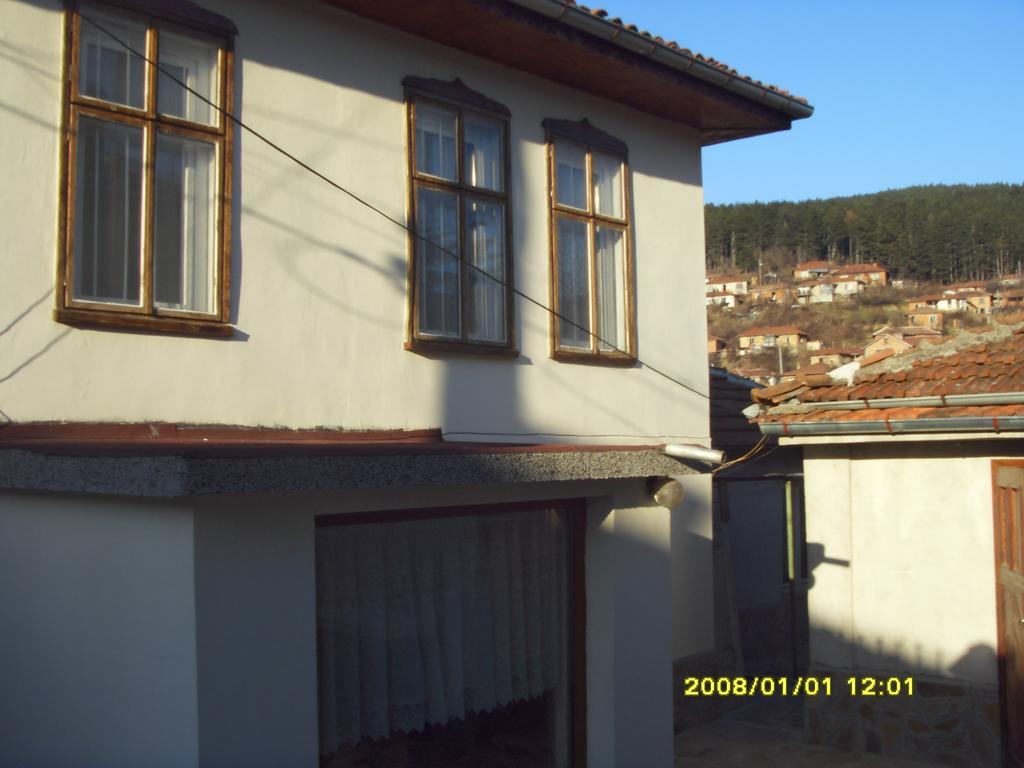 Guest House Vodolei Κότελ Εξωτερικό φωτογραφία